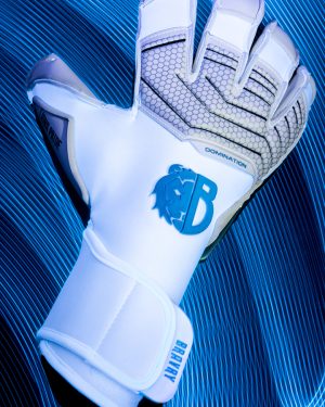 Bravry LIONS Pride