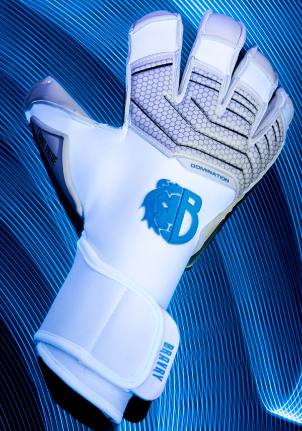 Bravry LIONS Pride
